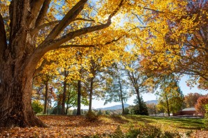 Asheville School