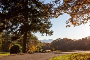 Asheville School