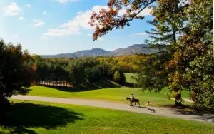 Asheville School