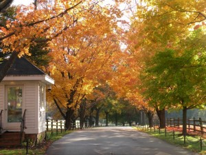 Garrison Forest School