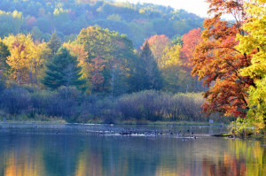 Hoosac School