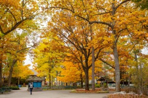 Interlochen Arts Academy