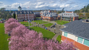 圣迈克学院