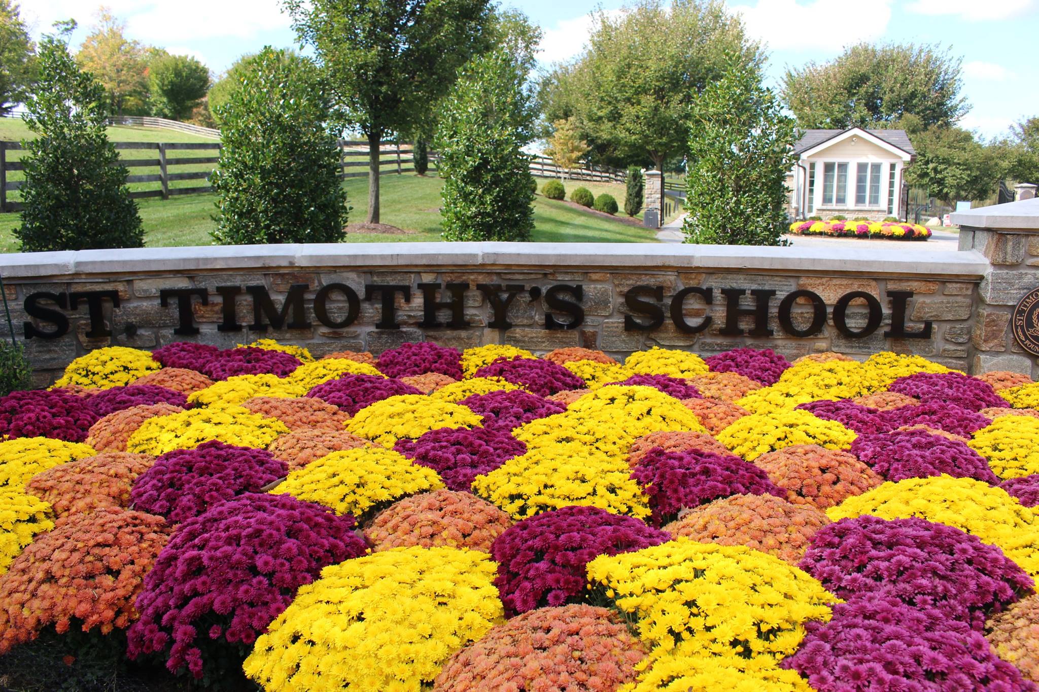 St. Timothy's School