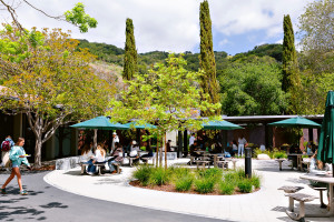 San Domenico School