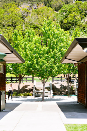 San Domenico School