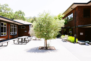 San Domenico School