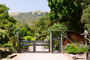 San Domenico School