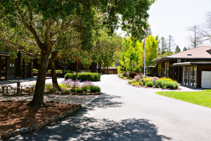 San Domenico School