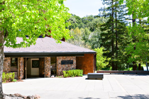 San Domenico School