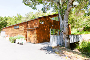 San Domenico School