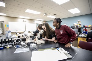 Shattuck-St. Mary's School