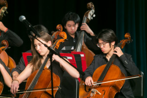 Stevenson School