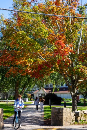 Tabor Academy