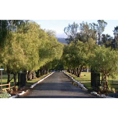 维拉诺瓦预备中学