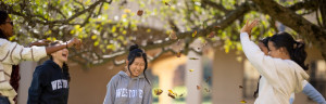 威斯多佛学校