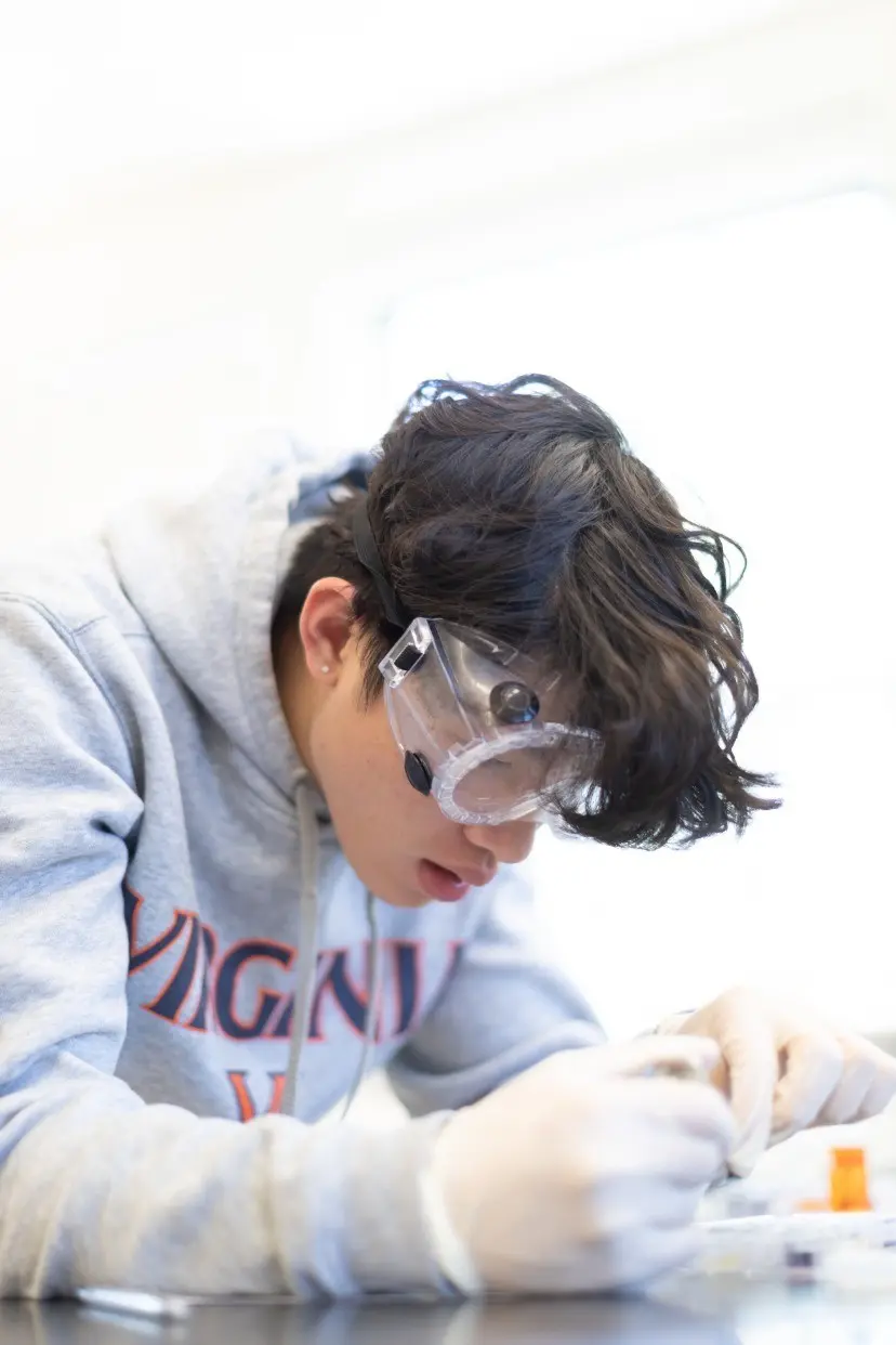 乌德贝里森林学校