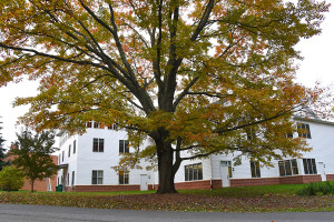 Sandy Spring Friends School