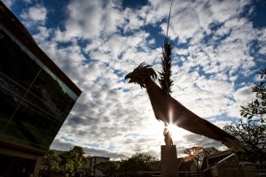 'Iolani School