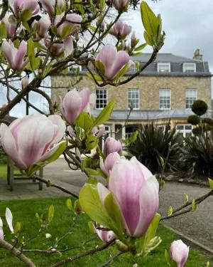 Sevenoaks School