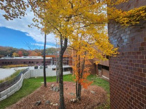 New England Innovation Academy