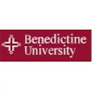 大学logo