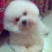 FindingSchool用户 纷纷