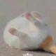 FindingSchool用户 FS用户