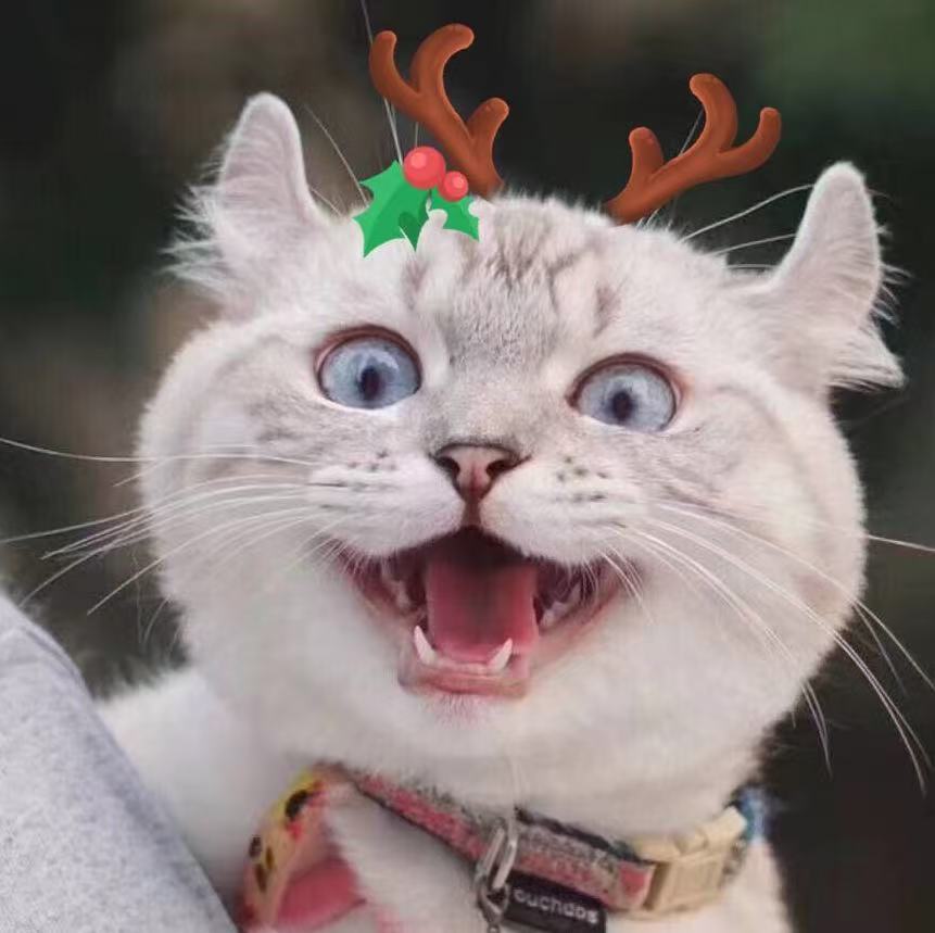 FindingSchool用户 Cathy Test, Gao Test