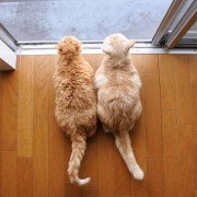 FindingSchool用户 kxxy