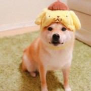 û zuodazuoq