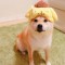 FindingSchool用户 zuodazuoq