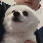 ɫֱû Joey