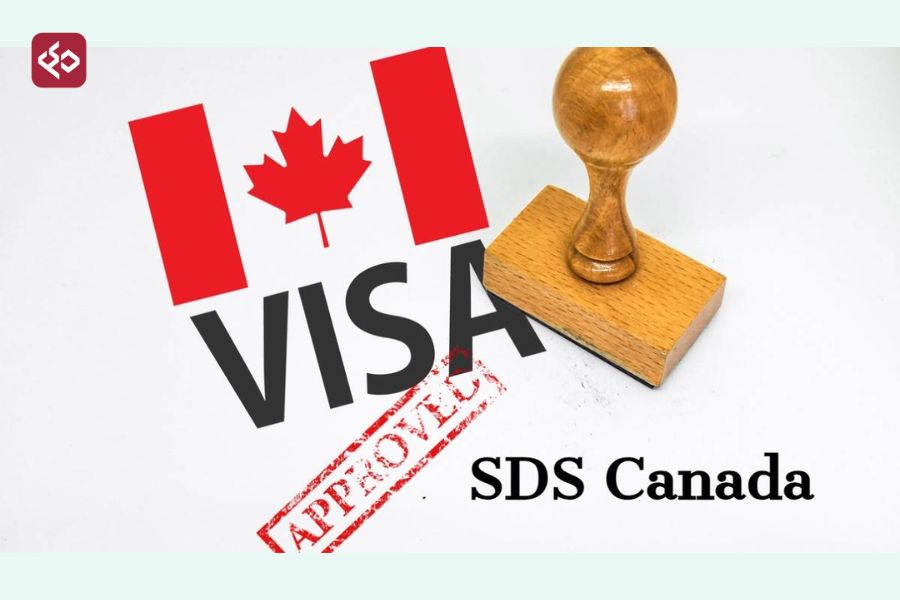 VISA SDS có thủ tục duyệt hồ sơ tương đối đơn giản và nhanh chóng (Nguồn: ShikSha)